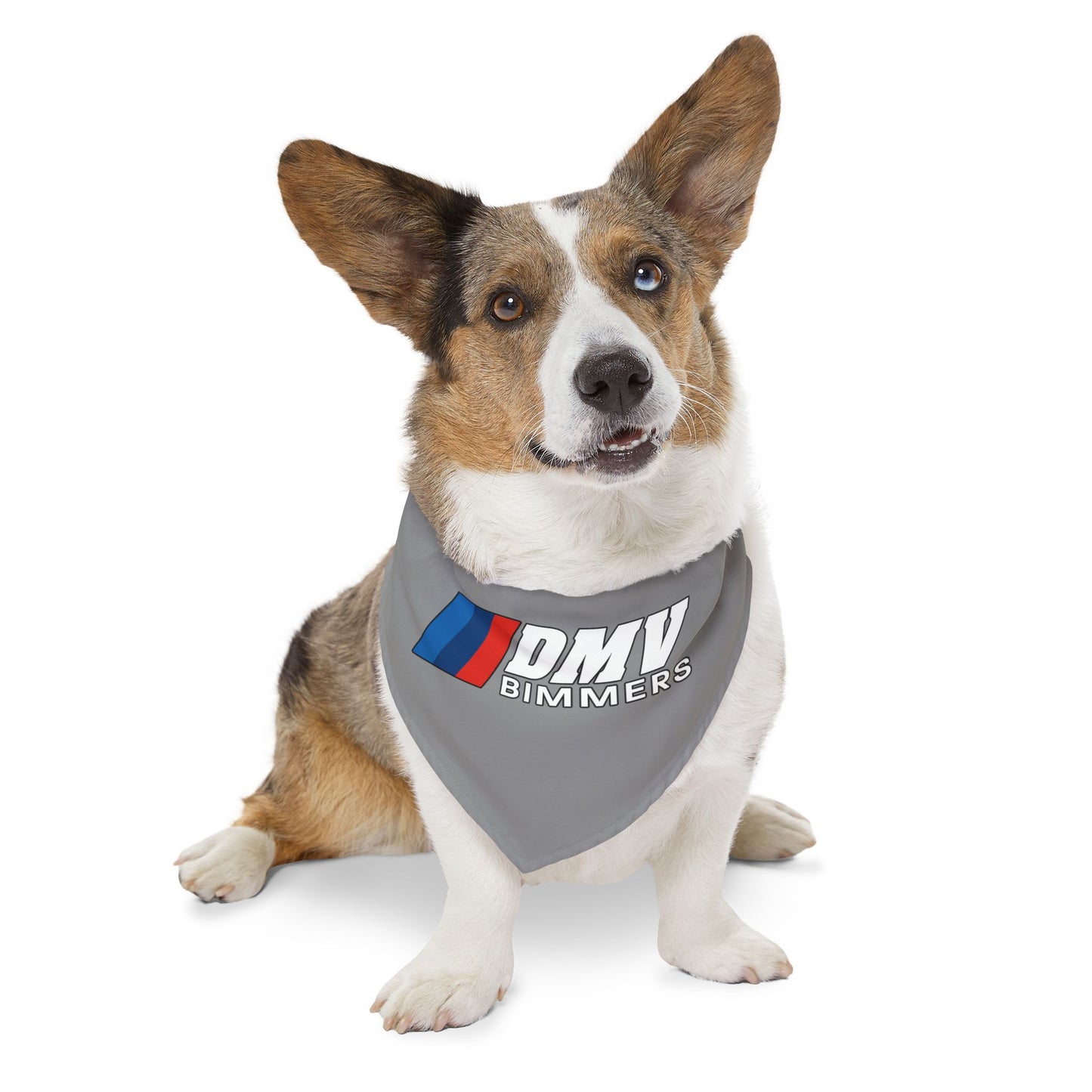 DMVBimmers Pet Bandana Collar
