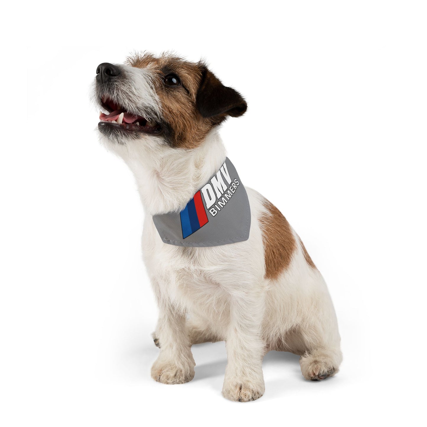 DMVBimmers Pet Bandana Collar