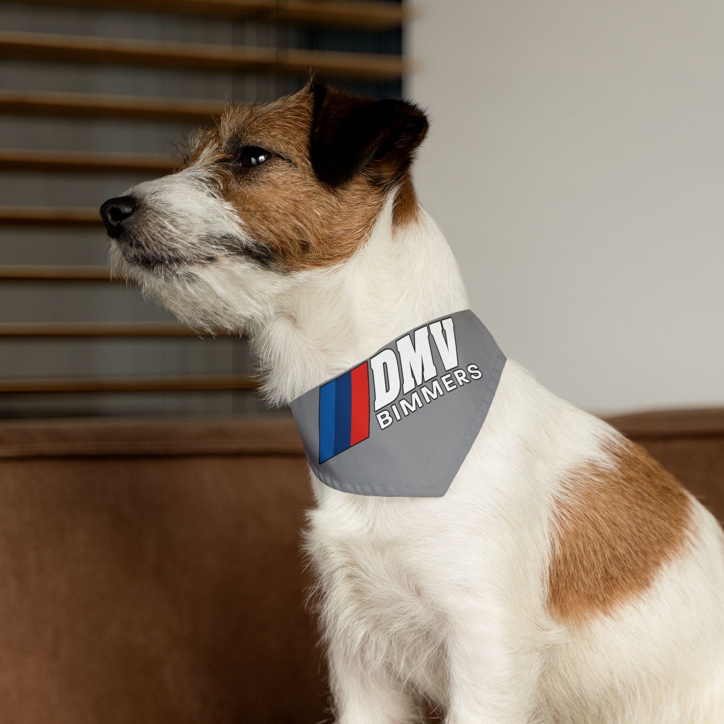 DMVBimmers Pet Bandana Collar