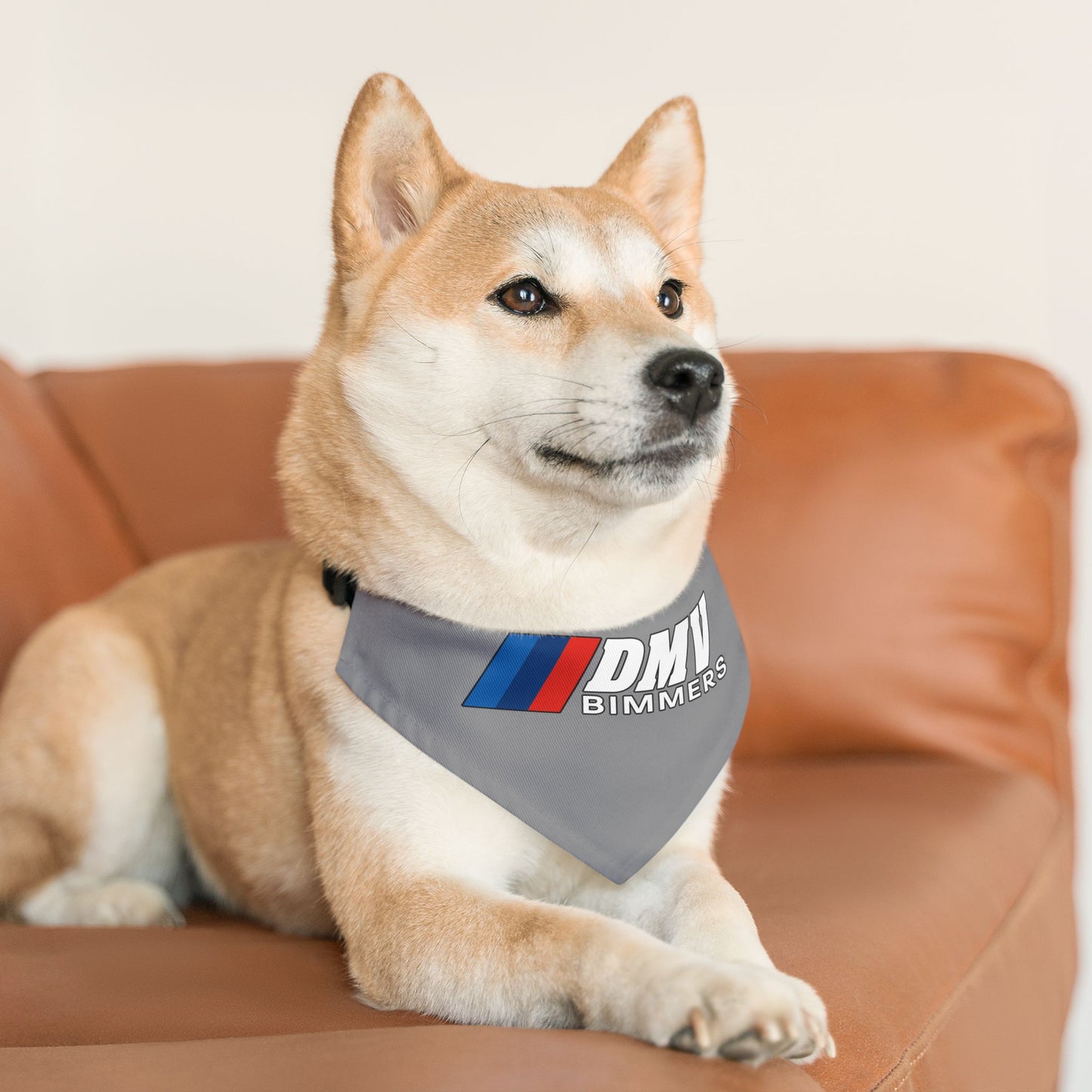 DMVBimmers Pet Bandana Collar