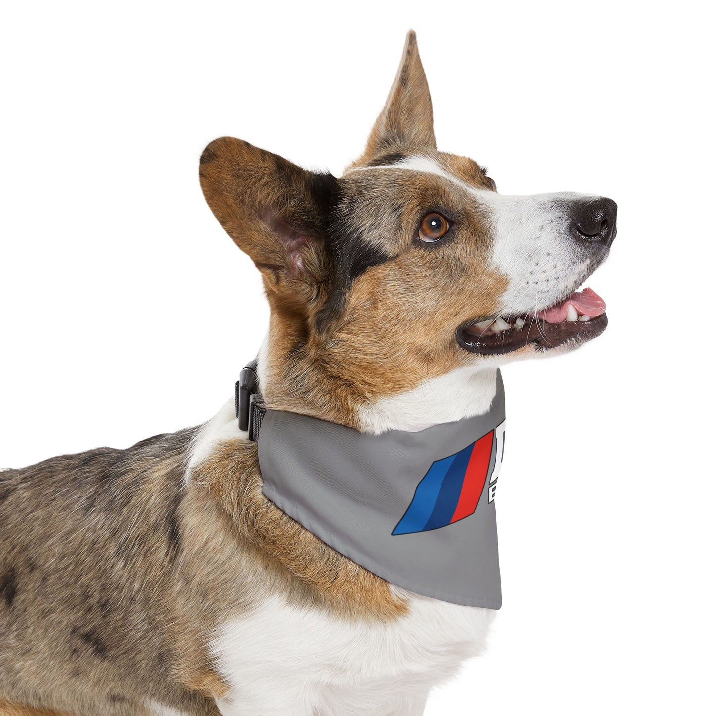 DMVBimmers Pet Bandana Collar